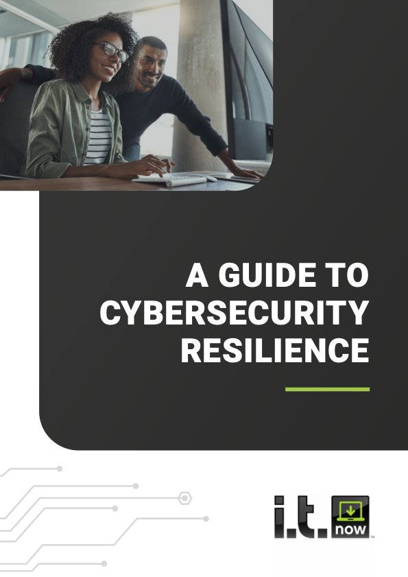 Cybersecurity Resilience guide