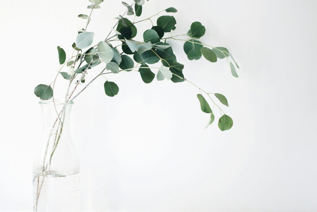 eucalyptus in a glass vase