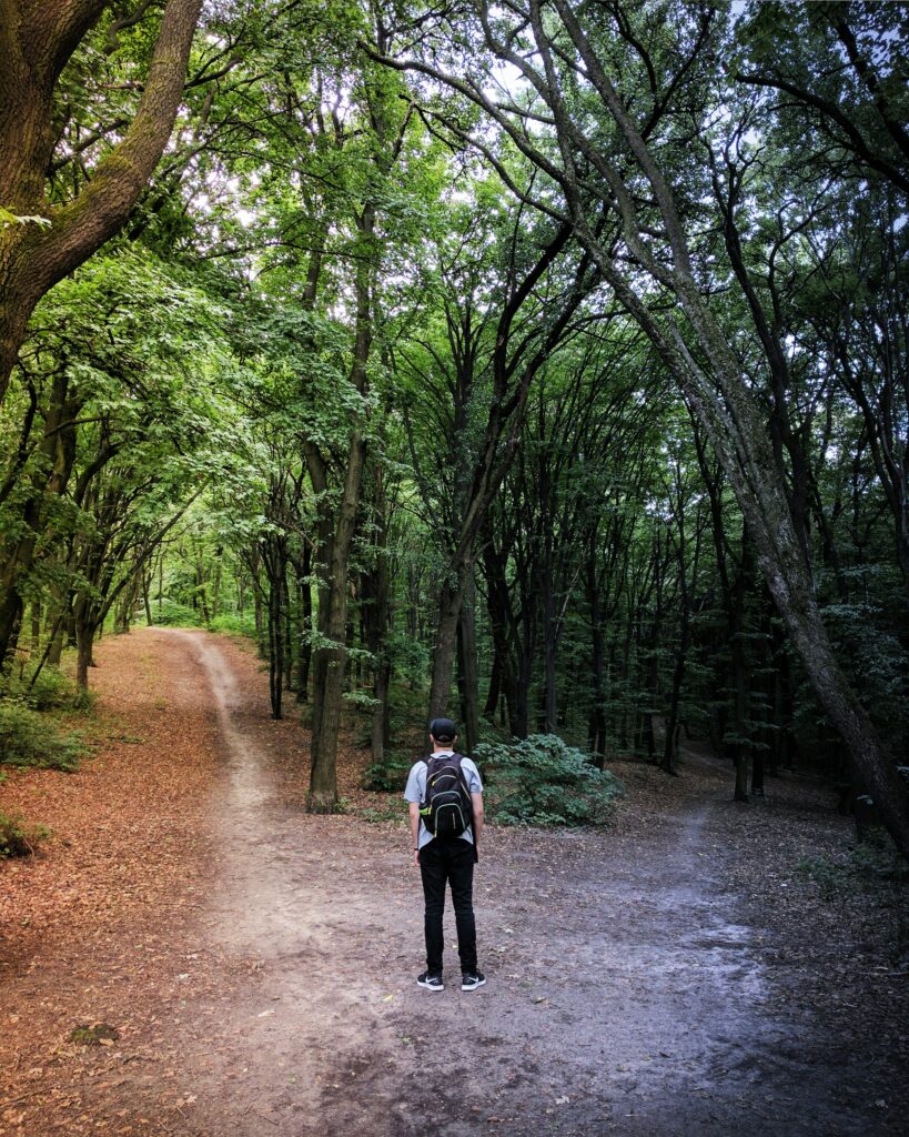 Person standing at a fork in the road